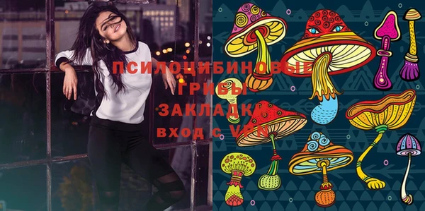 mdpv Новокубанск