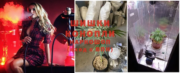 MDMA Premium VHQ Новозыбков