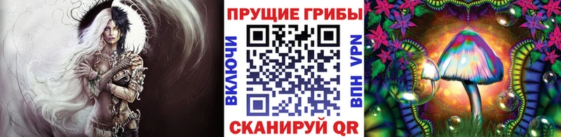 Купить где  Владивосток  Псилоцибиновые грибы прущие грибы 